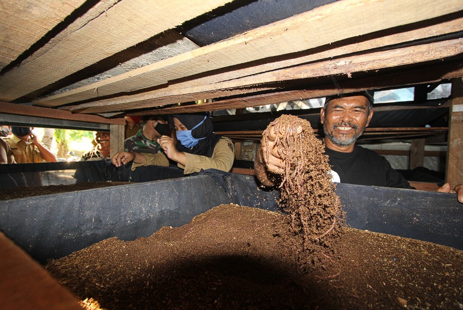 Ciptakan Ekonomi Sirkular Lewat Cacing, PLN Nusantara Power  Bantu Warga Berdaya