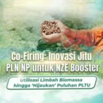 Co-Firing: Inovasi Jitu PLN NP untuk NZE Booster, Utilisasi Limbah Biomassa hingga 'Hijaukan' Puluhan PLTU