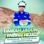 Transformasikan Limbah Jagung untuk Energi Hijau, Sinergi PLN NP dengan Pemerintah Daerah untuk Biomassa Cofiring