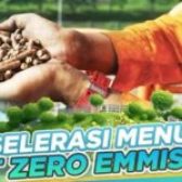 Akselerasi Menuju Net Zero Emmision, Sinergi PLN NP bersama Pemerintah Daerah Maksimalkan Potensi Lahan Wujudkan Dekarbonisasi