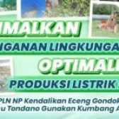 Optimalkan Penanganan Lingkungan, Optimalkan Produksi Listrik Hijau, PLN NP Kendalikan Enceng Gondok di Danau Tondano Gunakan Kumbang Amazon