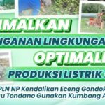 Optimalkan Penanganan Lingkungan, Optimalkan Produksi Listrik Hijau, PLN NP Kendalikan Enceng Gondok di Danau Tondano Gunakan Kumbang Amazon