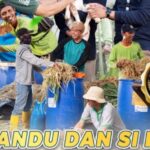 Si Pandu dan Si Desi, berdayakan Sampah dan Limbah melalui Sistem Pengembangan Argikultur terpadu